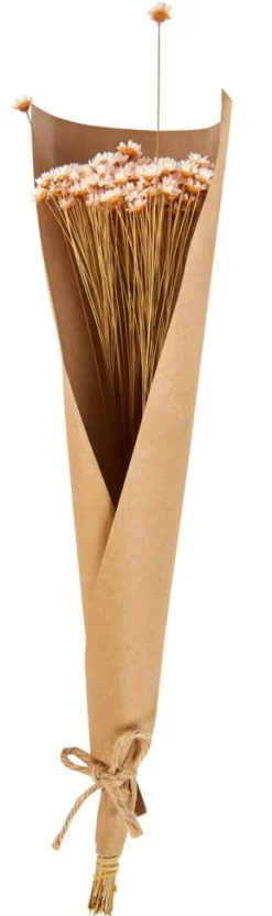 ACTINO Fleurs Séchées Rose