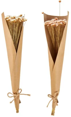 ACTINO Fleurs Séchées Rose