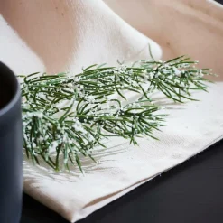 CEDER Branche Décorative Vert