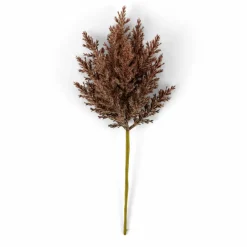 DAME JEANNE Dame Jeanne Brun