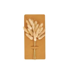 DAME JEANNE Dame Jeanne Brun