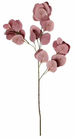 EUCALYPTUS Couronne Vert