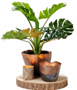 FINA Bougies Set De 12 Ivoire