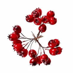 FOAM Branches D'églantier Rouge