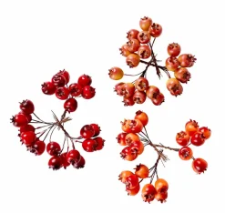 FOAM Branches D'églantier Rouge