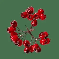 FOAM Déco églantier Rouge