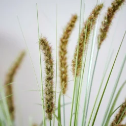 GRASS Botte D'herbe Rouge