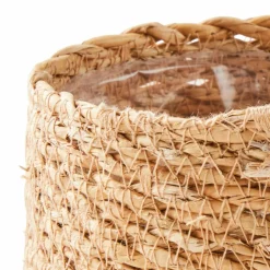 HERBA Herbe En Pot Vert