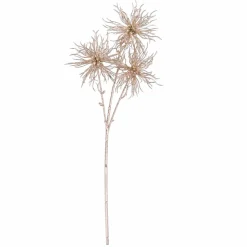 LAGURUS Lagure Ovale Naturel