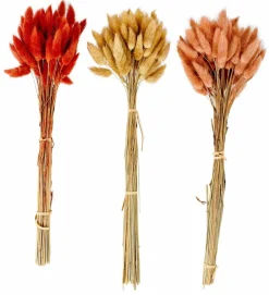 LAGURUS Lagure Ovale Naturel