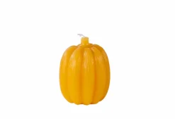 PUMPKIN Terre Cuite