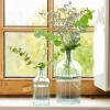 RETRO Vase Bouteille Transparent