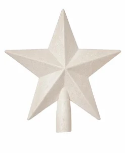 STAR Décoration Séchée