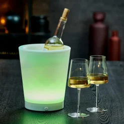 VACUVIN Refroidisseur Argent