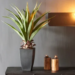 VERA Plante Grasse Sur Tige Vert